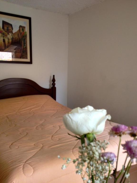 Casa Macondo Bed & Breakfast Cuenca Zimmer foto