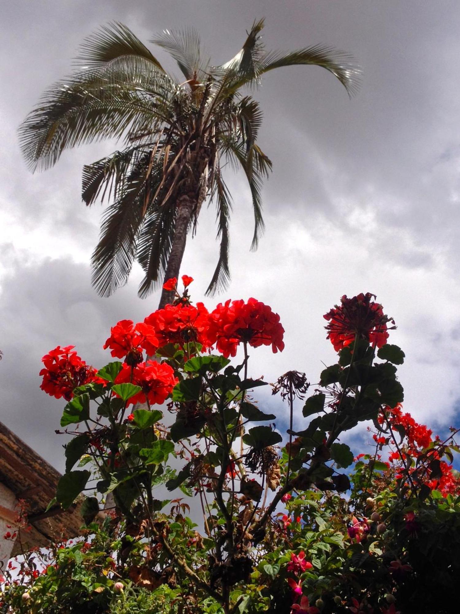 Casa Macondo Bed & Breakfast Cuenca Exterior foto